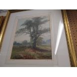 JOHN HOLDING - watercolour tree in landscape