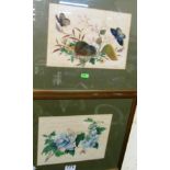 A pair 19th Century watercolours on ricepaper butterflies and foliage