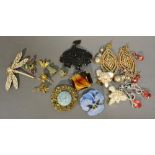 A Small Collection of Costume Jewellery to include brooches,