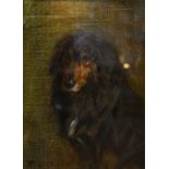 Robert Alexander, 1840 - 1923 STUDY OF A COLLIE DOG Oil, signed, 18.5 x 13.