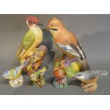 A Royal Worcester Porcelain Model of a Jay, number 3248,