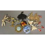 A Small Collection of Costume Jewellery to include brooches, earrings and other items