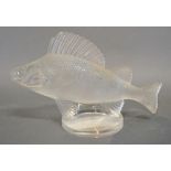 A Lalique Glass Car Mascot of a Fish, probably a Perch, signed Lalique France, 16 cms long