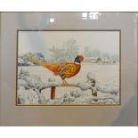 Stephen Gayford 'Study of a Pheasant within a Winter Landscape' watercolour, 31 x 46 cms