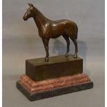 A Patinated Bronze Model in the form of a Horse upon stepped marble base, 21cms tall