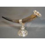A Silver Plated Large Horn Specimen Vase with circular plinth, 49 cms long