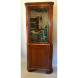 A 19th Century Mahogany Standing Corner Cabinet, the moulded top above astragal glazed door