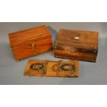 A Regency Mahogany Correspondence Box With Brass Ring Handles, together with a rosewood mother of