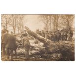 Royal Engineers WWI- group Artillery a large fallen tree RP postcard