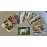 Regimental Mascots and Pets - Good range includes WWI regimental cards (25)