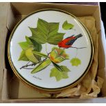 Franklin porcelain - The National Aurbubon Society Plates (6) - songbirds of the World-1977-fine