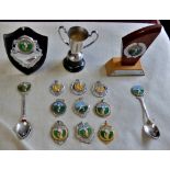 Cricket Medals and shields +Cup with (2) spoons