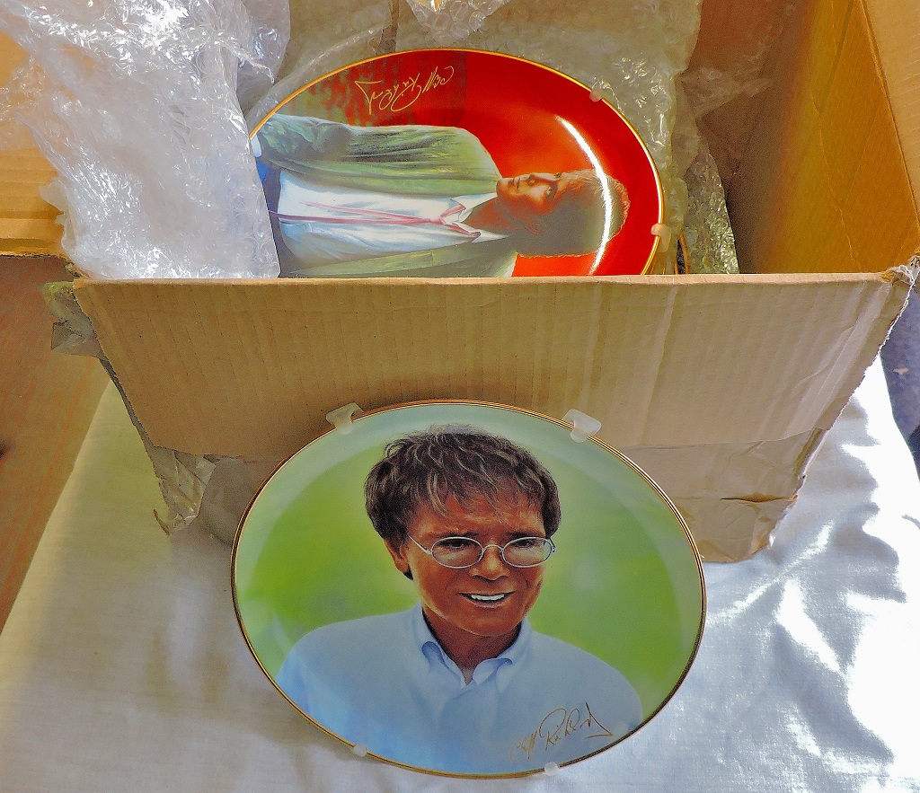 Cliff Richard -(12) 8" plates from the Danbury Mint in the series '40 glorious years' of the music