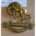 Canada - 14th Canadian Light Horse Cap badge - Brass (14.3mm) wilder 'Free & Fearless'