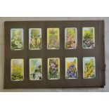 Gallaher Ltd Wild Flowers 1939 set 48/48 EX