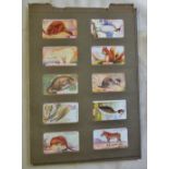 Gallaher Ltd Animals and Birds of Commercial Value 1921 set 100/100 EX