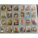 Carreras Ltd Orchids 1925 set L24L24 VG