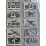 John Sinclair Ltd Champion Dogs A Series 1938 set F54/54 VG