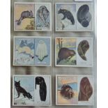 W D & H O Wills Ltd Animals and Their Furs 1929 set L 25/25 VG