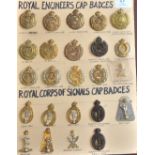 British Royal Engineers and Signals Cap badges (24) WWI/II onward, an excellent selection