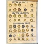 Military Brass and Early Buttons including: Australian, New Zealand, South African Forces (40+) Some