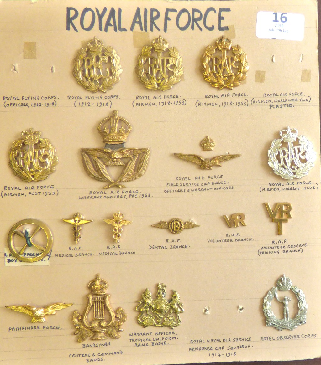 Royal Air force Cap badge and collar badges (17) a rare selection including: RFC, RAF, Warrant