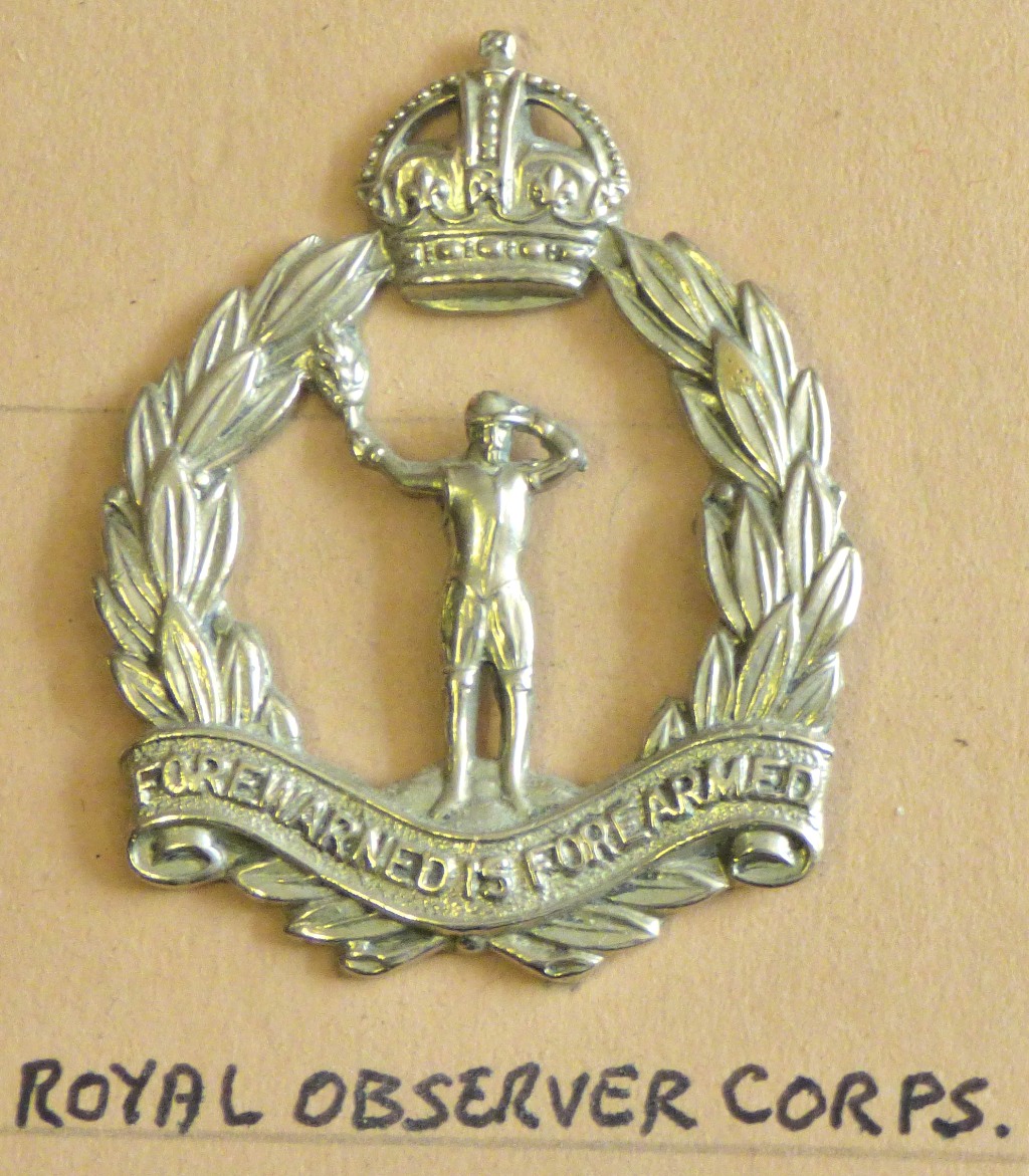 Royal Air force Cap badge and collar badges (17) a rare selection including: RFC, RAF, Warrant - Image 8 of 9