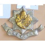 Cheshire Regiment - Bi-Metal-acorn at centre