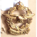 South African -Air Force - Gilded Brass