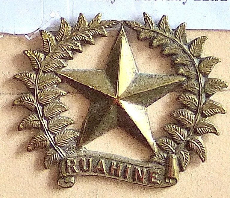 New Zealand - 17th (Ruahine) regiment Gilding Metal