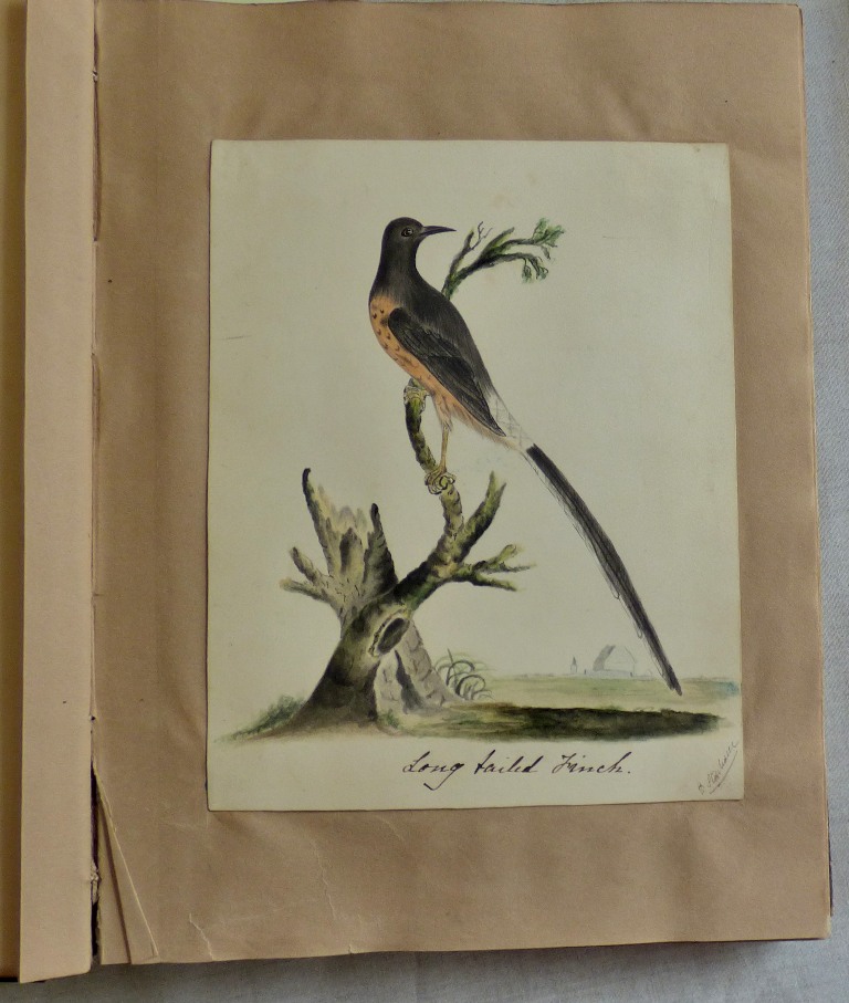 Scrapbook - Antique with good range of prints, water colours, snaps etc