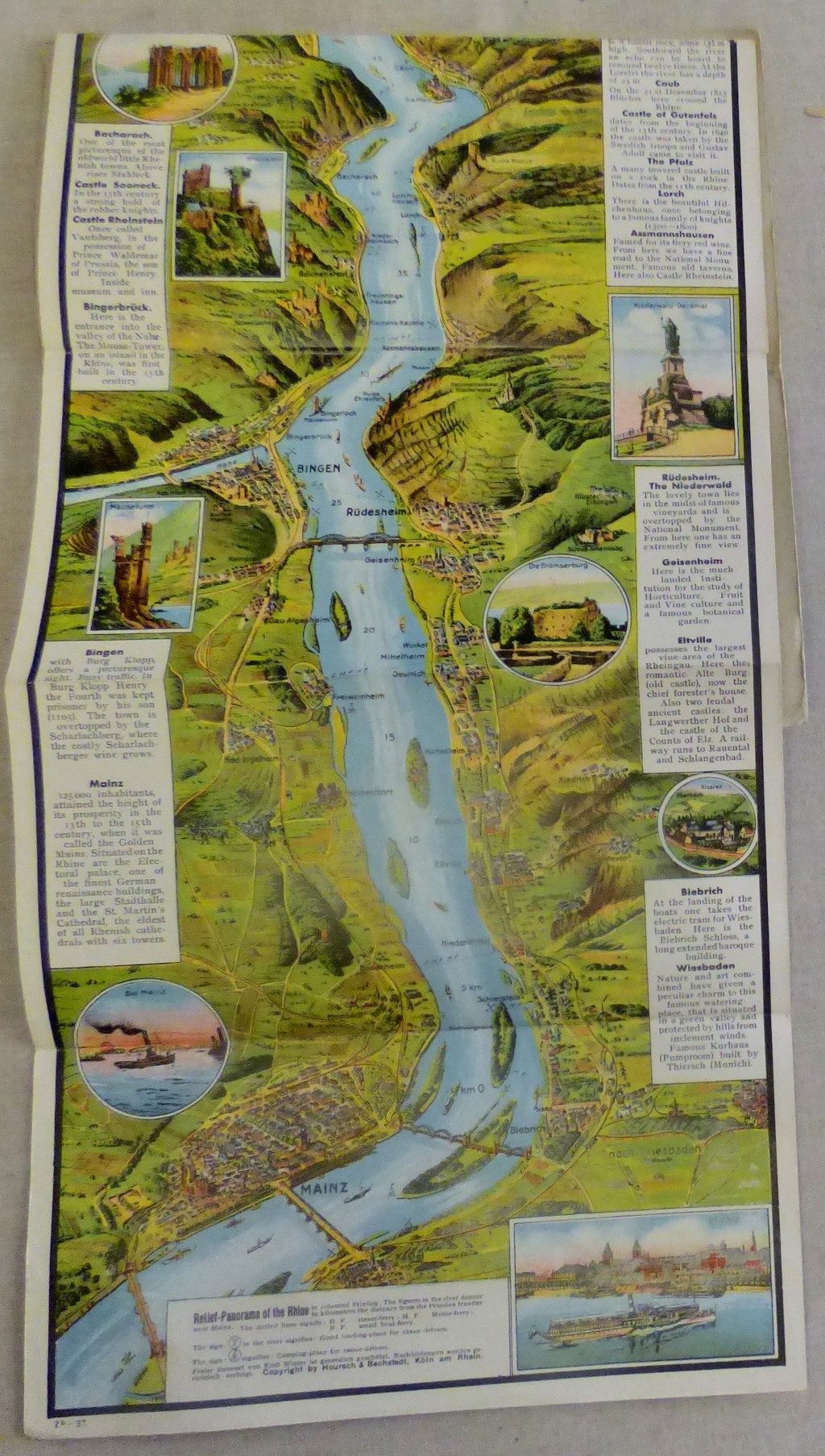 Relief Panorama of the Rhine-in colour text book - Image 3 of 4