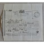 Jersey Dog Licence 1889