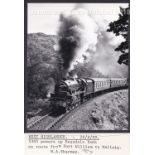 W.A.Sharman Photographic Quality Archive (10" x 8")-West Highlander - 28/8/89-5305 powers up