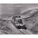 Photograph 10" x 8" -46443/CBE (PM)-between Llangelyain & Tonfanau 24/8/87