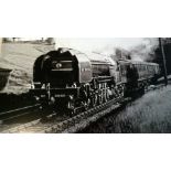 Photograph 10" x 8" black and white - P2 2-8-2 No.2002 Earl marshal, emerging from potters Bar