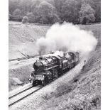 Photograph 10" x 8" - Welsh Marches Pullman (N) - 5/6/82-43106 and 7812 " Erlestoke Manor" burst out