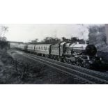 Railway Photo's-W.A.Sharman-G.W.S. Special Train - 18/4/84-5051 'Drysllwyn Castle' at Aynho Mill