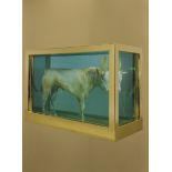 Damien Hirst (1965- ) British. "The Golden Calf", Book, Signed, together with "The Kingdom", Book,