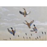 David Knightley Wolfe-Murray (c. 1890-1950) British. "Fish-hawk", Mallard Ducks in Flight, Gauche,