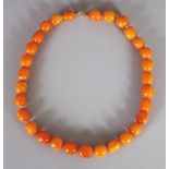 A GOOD AMBER BUTTERSCOTCH BEAD NECKLACE, weighing approx. 27gm, the beads approx. 0.5in long, the