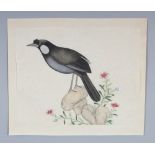 A GOOD QUALITY 19TH CENTURY CHINESE PAINTING ON PAPER OF A BIRD, mounted on a paper backing, the