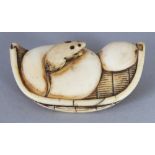 A GOOD JAPANESE EDO/MEIJI PERIOD IVORY NETSUKE OF A RAT ON A WINNOWING TRAY, 2in wide.