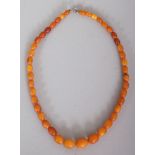 AN AMBER BEAD NECKLACE, weighing approx. 12.6gm, composed of graduated oval beads, approx. 15.5in