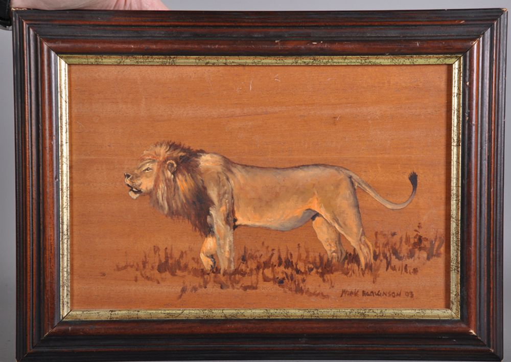Mark Hankinson (20th - 21st Century) British. Study of a Lion, Oil on Panel, Signed and Dated '02, - Image 2 of 4