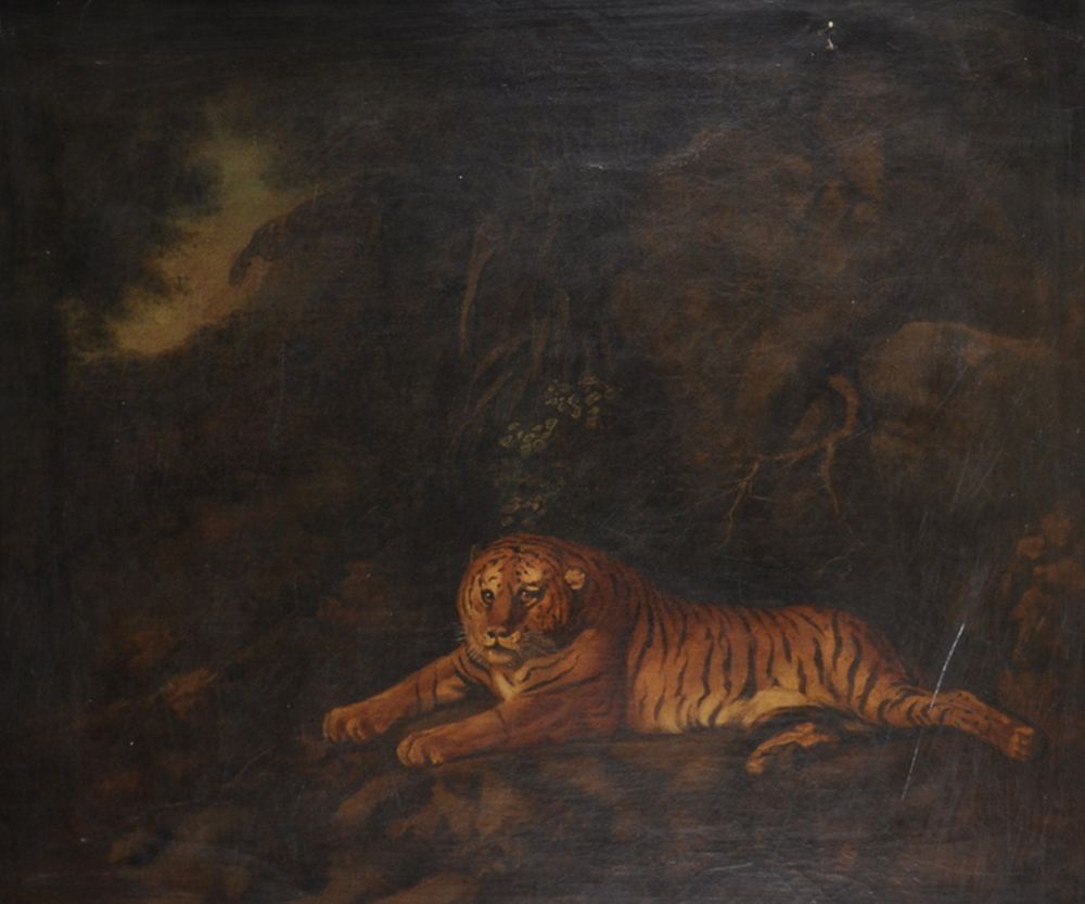 After George Stubbs (1724-1806) British. "Tiger", Oil on Canvas, Inscribed on the reverse 'Quist',