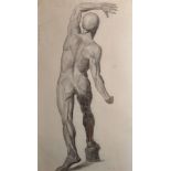 Estella Canziani (1887-1964) British. A Study from an Echorche from the Back, Black Chalk, Dated '