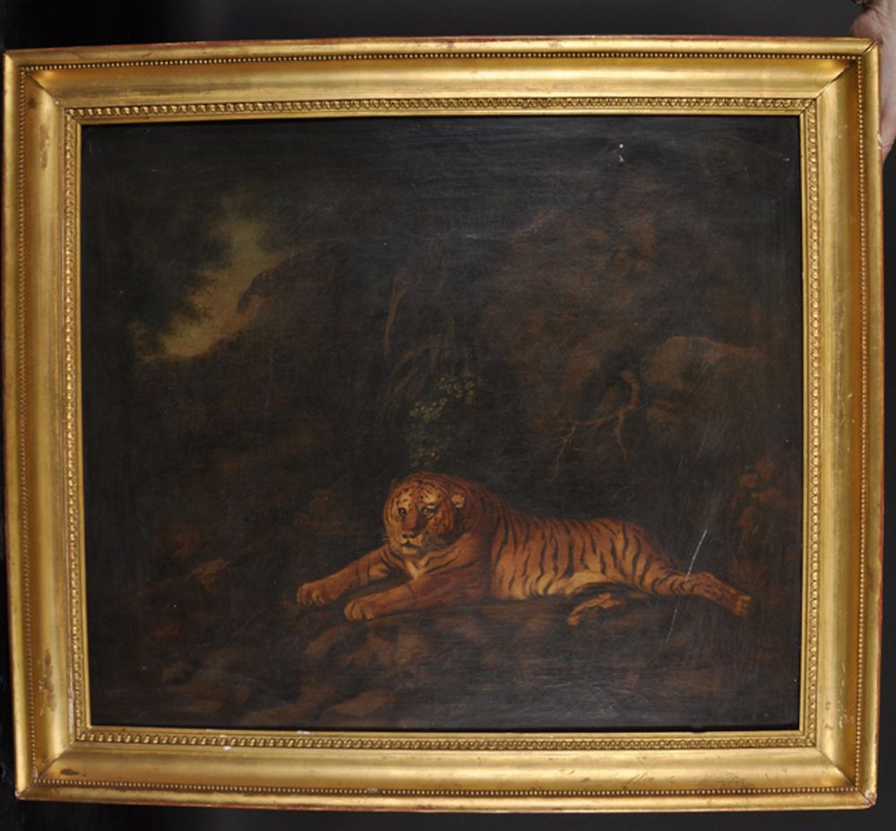 After George Stubbs (1724-1806) British. "Tiger", Oil on Canvas, Inscribed on the reverse 'Quist', - Image 2 of 3