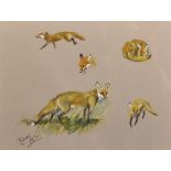 Michael Lyne (1912-1989) British. A Study of a Fox, in various positions, Mixed Media, Signed, 9.