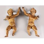 A VERY GOOD PAIR OF CARVED WOOD CHERUBS, Possibly Italian. 2ft 6ins high x 1ft 8ins wide.